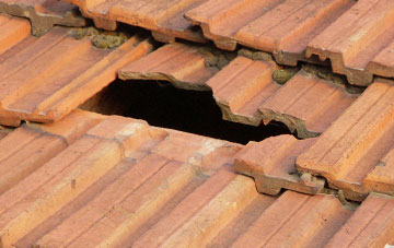 roof repair Dolydd, Gwynedd